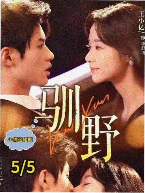 THE LAST 剧场版设定集资讯